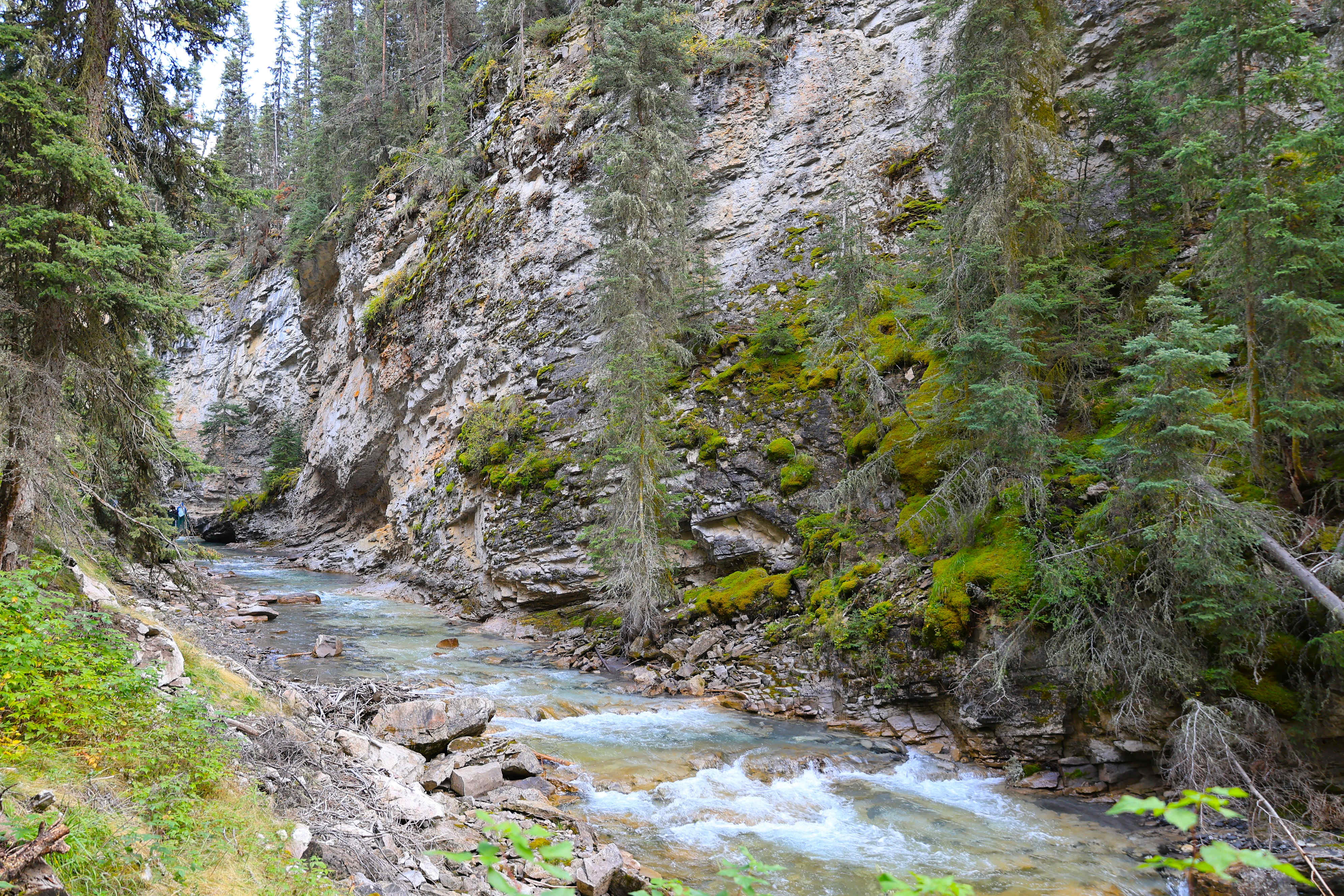 NP Banff